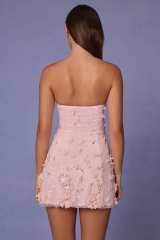 Embellished Bandeau A-line Mini Dress in Ballet Pink