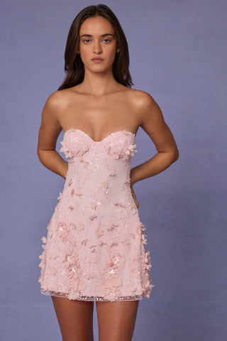 Embellished Bandeau A-line Mini Dress in Ballet Pink