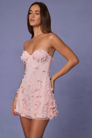 Embellished Bandeau A-line Mini Dress in Ballet Pink