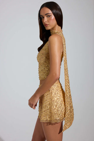 Embellished Low-Rise A-Line Micro Mini Skirt in Gold